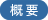 概要
